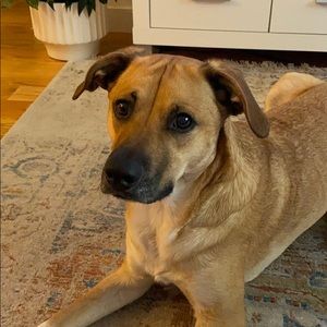 Meet your Posher, Charles